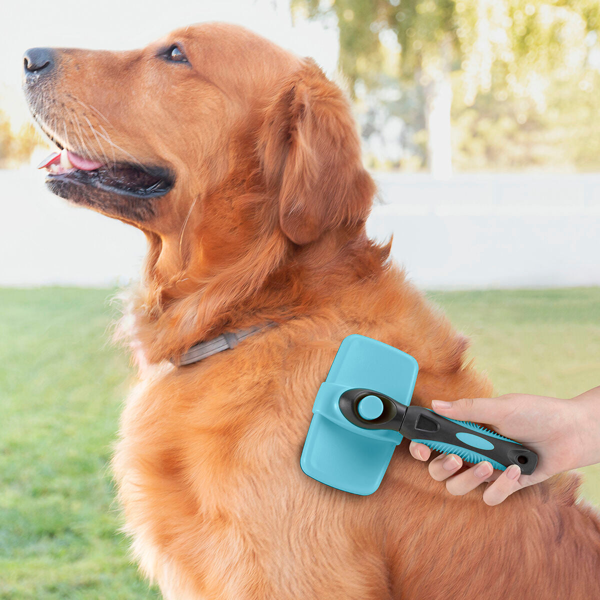 Cepillo para Mascotas con Púas Retráctiles — Antipelo y Masaje para Perros y Gatos