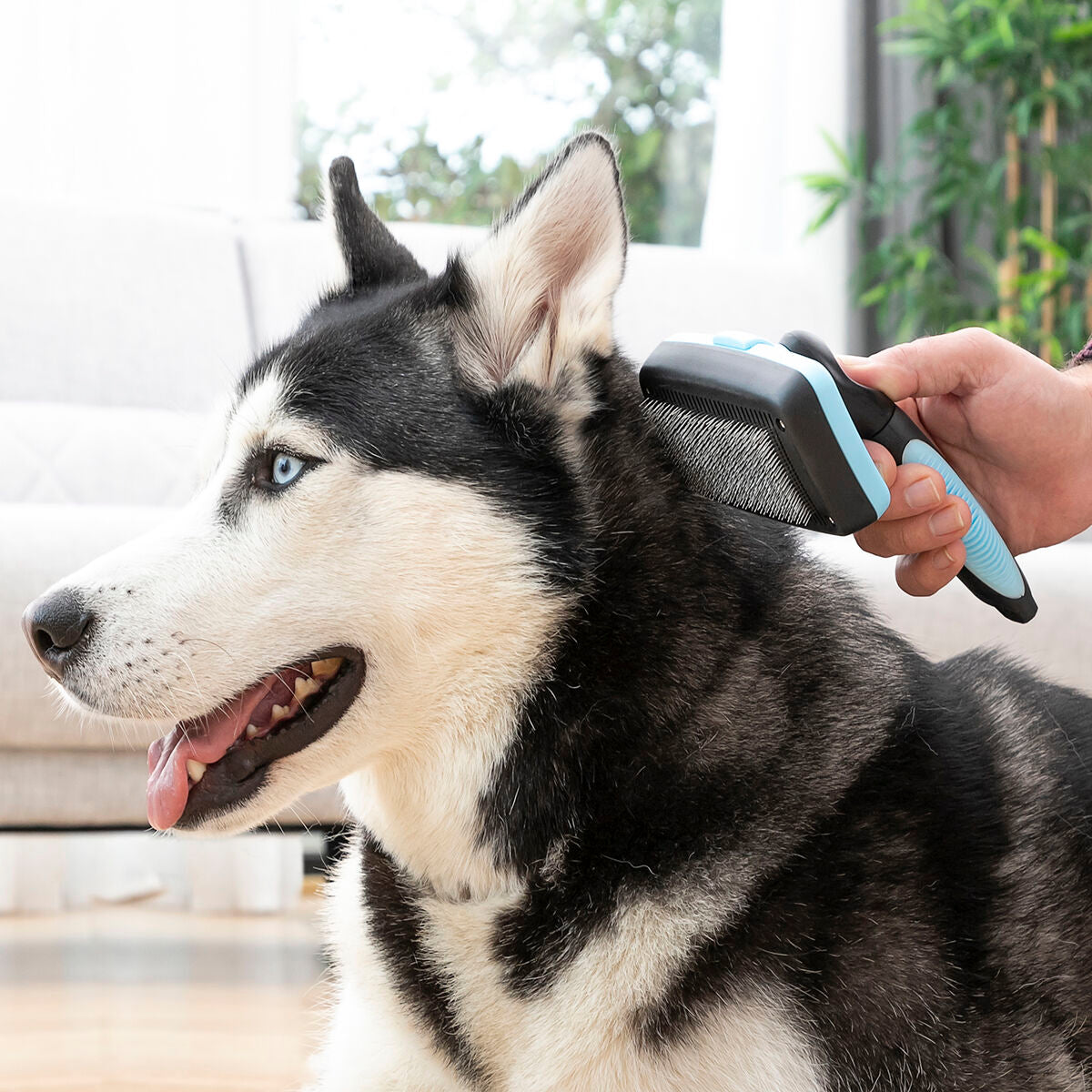 Cepillo para Mascotas con Púas Retráctiles — Antipelo y Masaje para Perros y Gatos