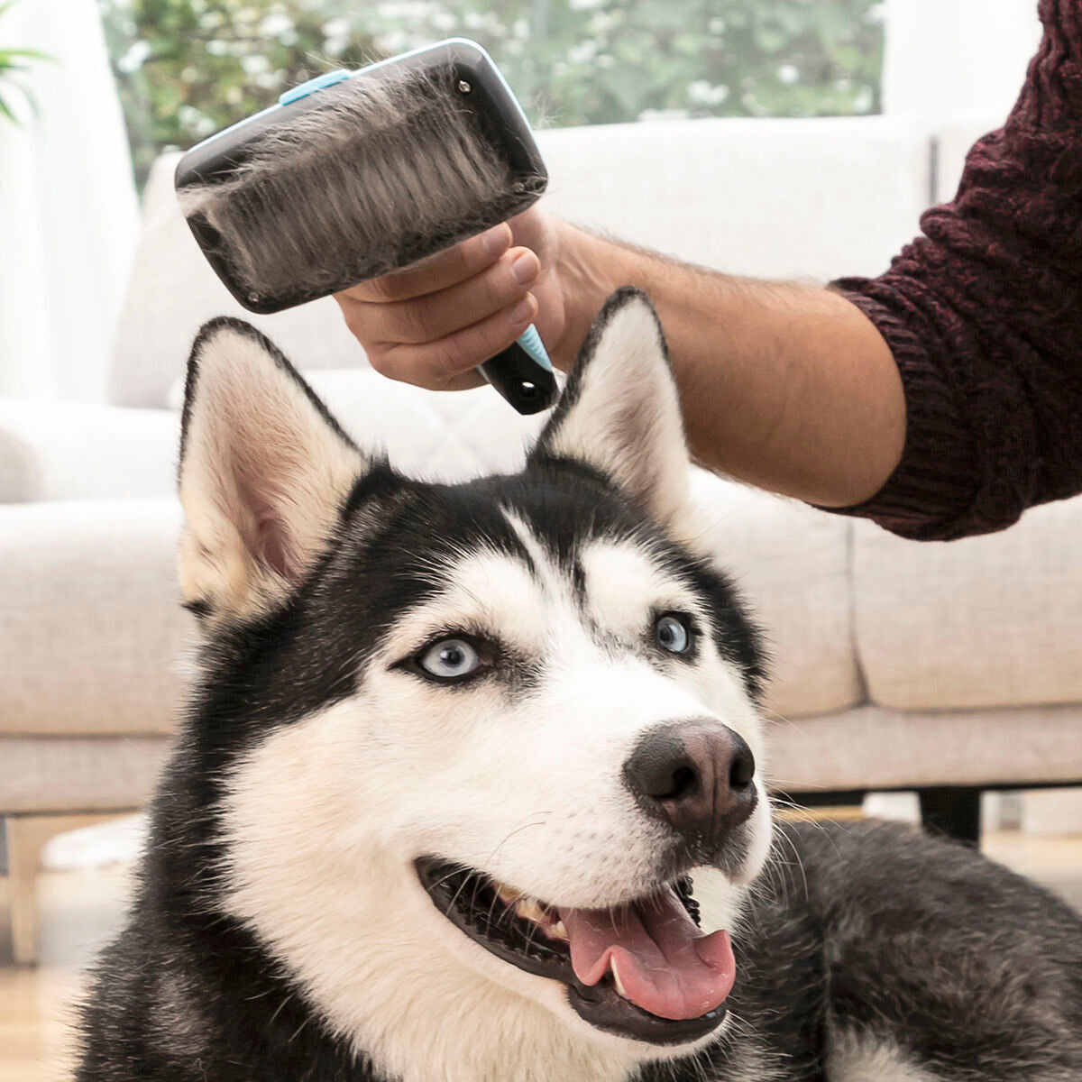 Cepillo para Mascotas con Púas Retráctiles — Antipelo y Masaje para Perros y Gatos