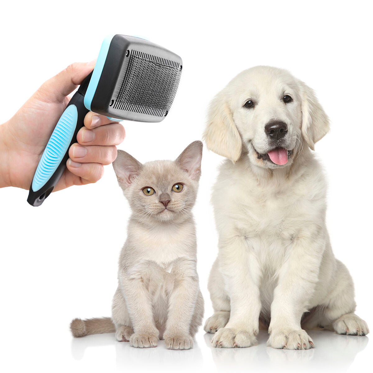 Cepillo para Mascotas con Púas Retráctiles — Antipelo y Masaje para Perros y Gatos